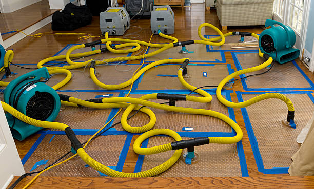 Professional Basement Flood Cleanup technician working in Kennard, NE